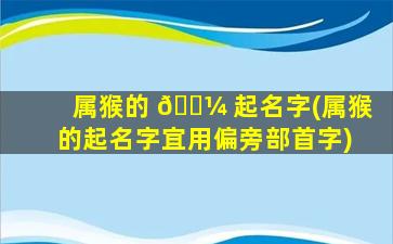 属猴的 🐼 起名字(属猴的起名字宜用偏旁部首字)